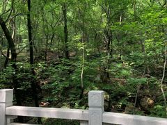 -虞山风景区