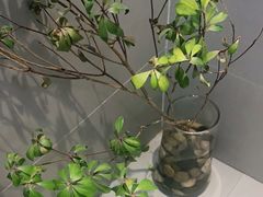 -boundaries籬苑(瑞光创意工厂-贰号院店)