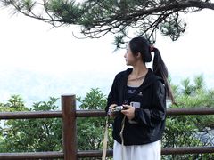 -天目山大树王景区