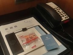 -成都明宇丽雅饭店