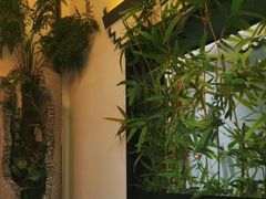 -徽镇小厨·经典徽菜(十里河店)
