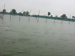 android_upload_pic-泗洪洪泽湖湿地景区
