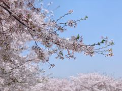 -龙美术馆(西岸馆)