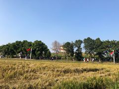 -光明小镇欢乐田园