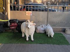 -洪记白水羊头(天坛店)