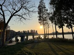 -顺峰山公园