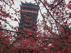 -塔子山公园