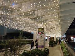 -瑞虹新天地月亮湾
