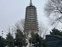-舍利塔滩地公园-无垢净光舍利塔