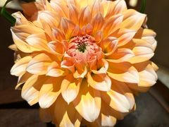 -领事馆19号中餐厅(厦门海景洲际酒店)