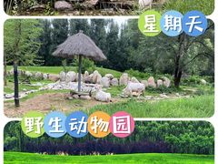 -北京野生动物园