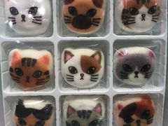 -香港会议展览中心演讲厅