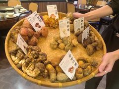 -滇野云南野生菌餐厅(陕西南路店)