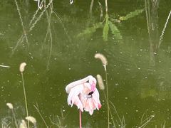 -杭州野生动物世界