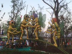 -苏州乐园森林水世界