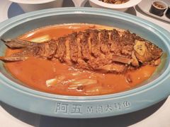 -阿五黄河大鲤鱼(纬三路店)