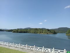 -佛手湖郊野公园
