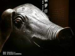 -闵行博物馆