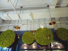 -蒙小妹骨汤饭.米线(新光路店)