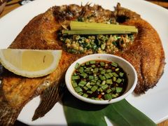 -蜗牛的家旅行主题云南菜餐厅.小酒馆(护国寺店)