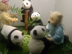 android_upload_pic-成都泰迪熊博物馆