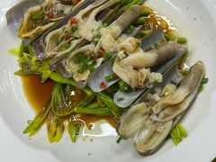 蛏子-阿静美食