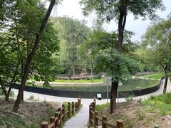 -白水寺森林公园