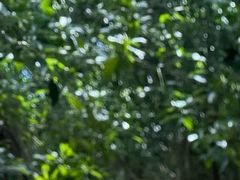 -福建鲤鱼洲酒店