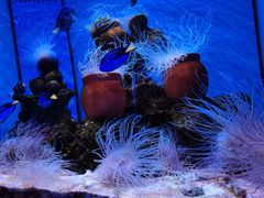 -多彩贵州城极地海洋世界