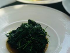 -荷风细雨·中国茶宴(碧云店)