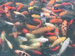-荆川公园