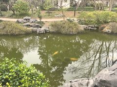 -秋霞圃