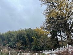 -径山寺