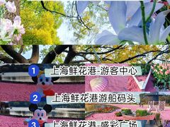 -上海鲜花港
