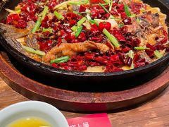 -老板恋上鱼(高新万达店)