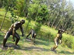 -合肥滨湖国家森林公园