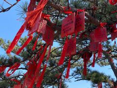 -天津盘山风景名胜区
