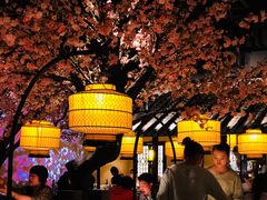 -绿茶餐厅(昌平悦荟店)