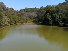 -南国桃园旅游度假区