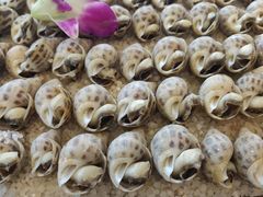 -津菜宋记老房子(鼓楼店)