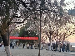 -云龙山