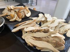 -蘑统田下·野生菌火锅