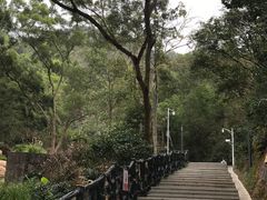 -梧桐山风景名胜区