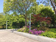 -尚贤河湿地
