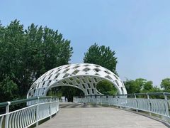 -同里国家湿地公园