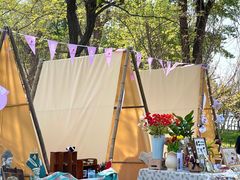 -长白岛森林公园