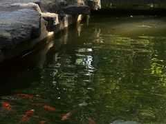 -淄博聊斋城景区