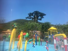 -苏州乐园森林水世界