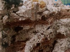 -囍悦烘焙(恒隆御水岸店)