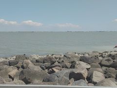 -上海吴淞炮台湾国家湿地公园